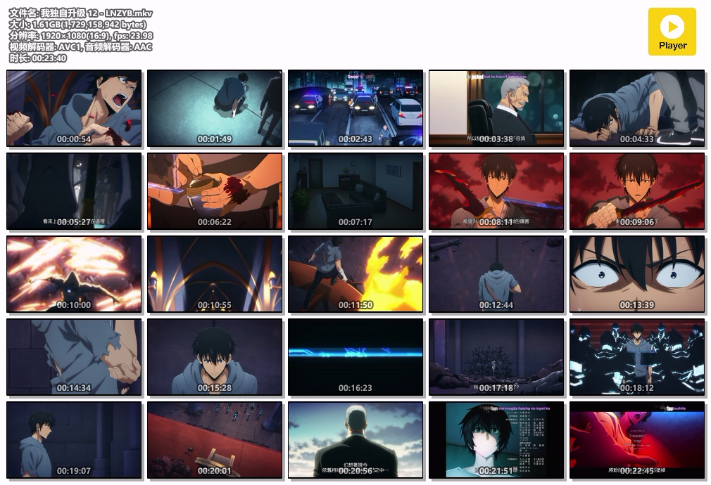 我独自升级 12 - LNZYB.mkv.jpg