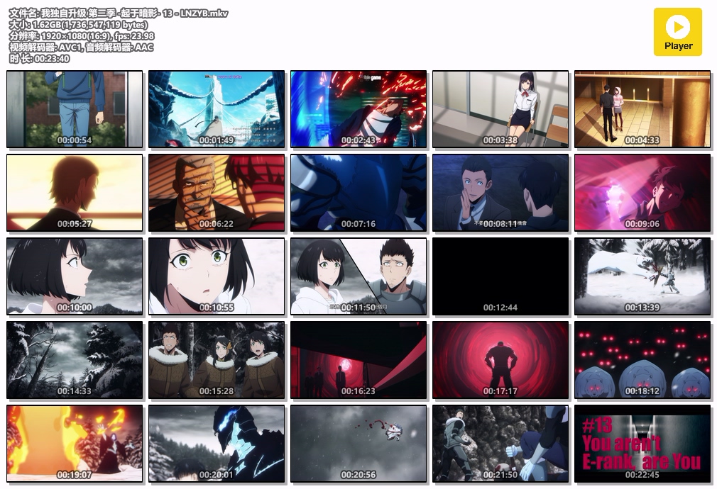 我独自升级 第二季 -起于暗影- 13 - LNZYB.mkv.jpg