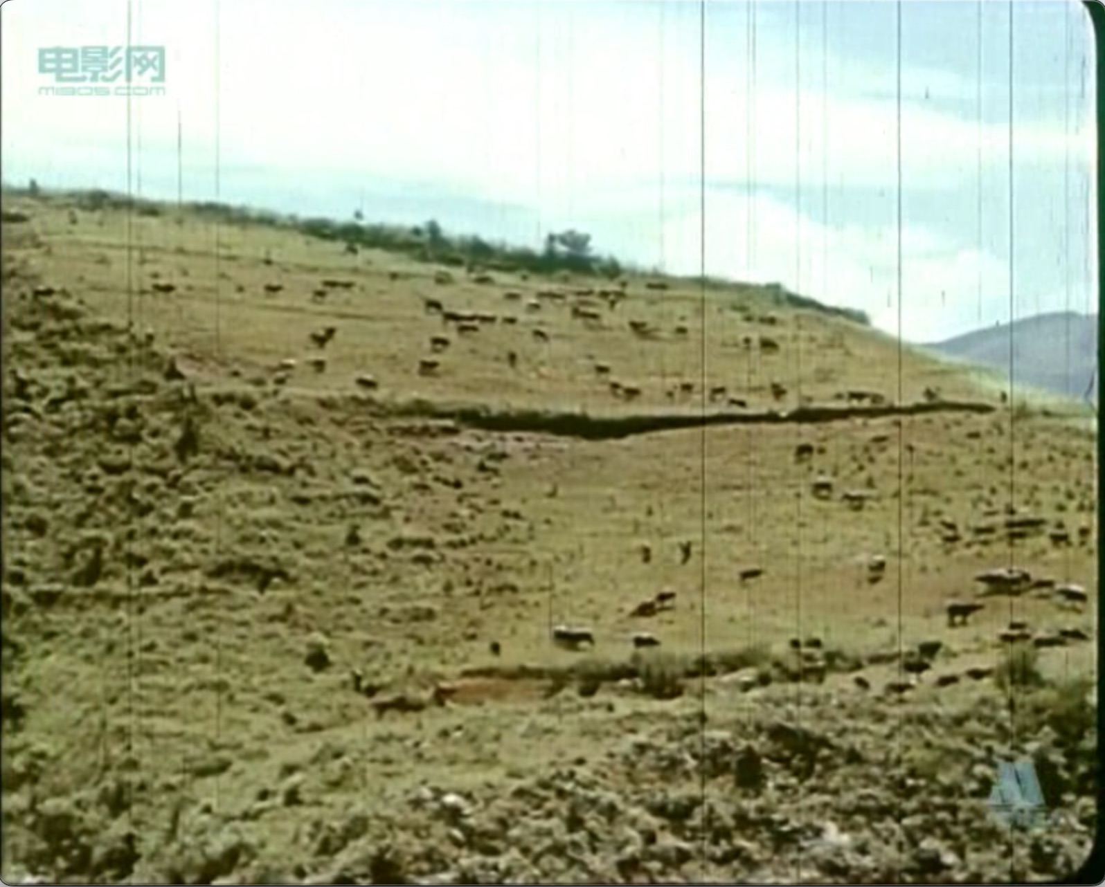 截屏2025-06-28 19.00.47.jpeg