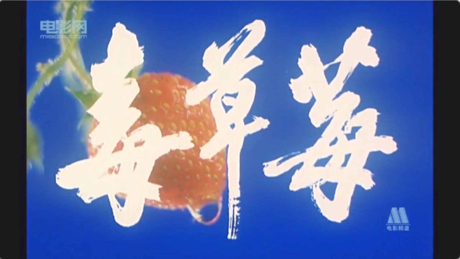 截屏2025-06-29 17.40.41.jpeg