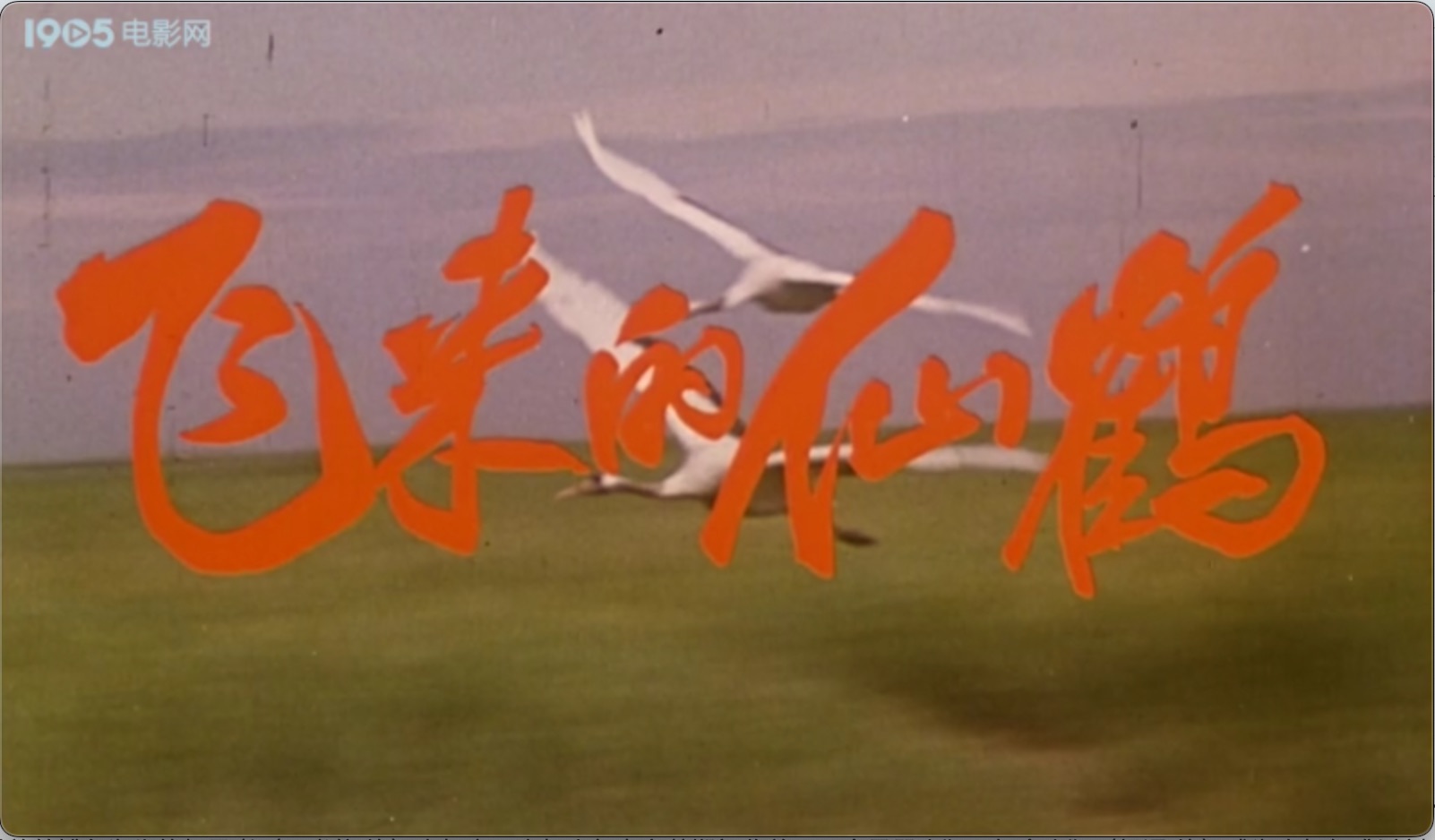 截屏2025-06-29 18.11.53.jpeg