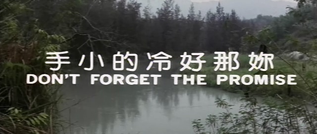 你那好冷的小手.Don't forget the promise.1980.DVD.X264.AAC.HALFCD.mkv_202506.jpg