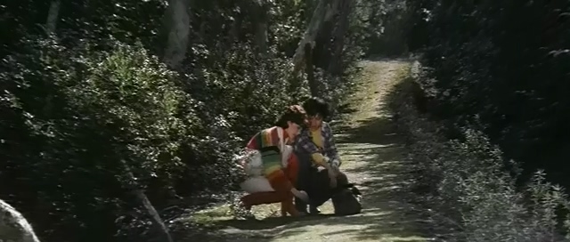 雁儿在林梢.The Wild Goose on the Wing.1979.DVD.X264.AAC.HALFCD.mkv_20250629_192914.014.jpg