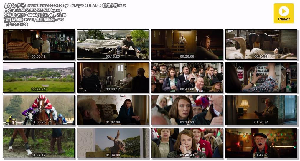 梦马.Dream.Horse.2020.1080p.BluRay.x265-RARBG特效字幕.mkv.jpg