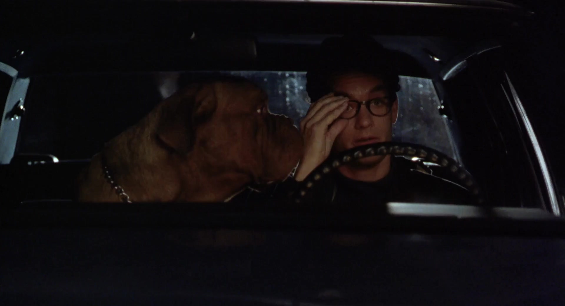 福星与福将.Turner And Hooch 1989.2Audio.CN.mkv_20250704_221319.452.jpg