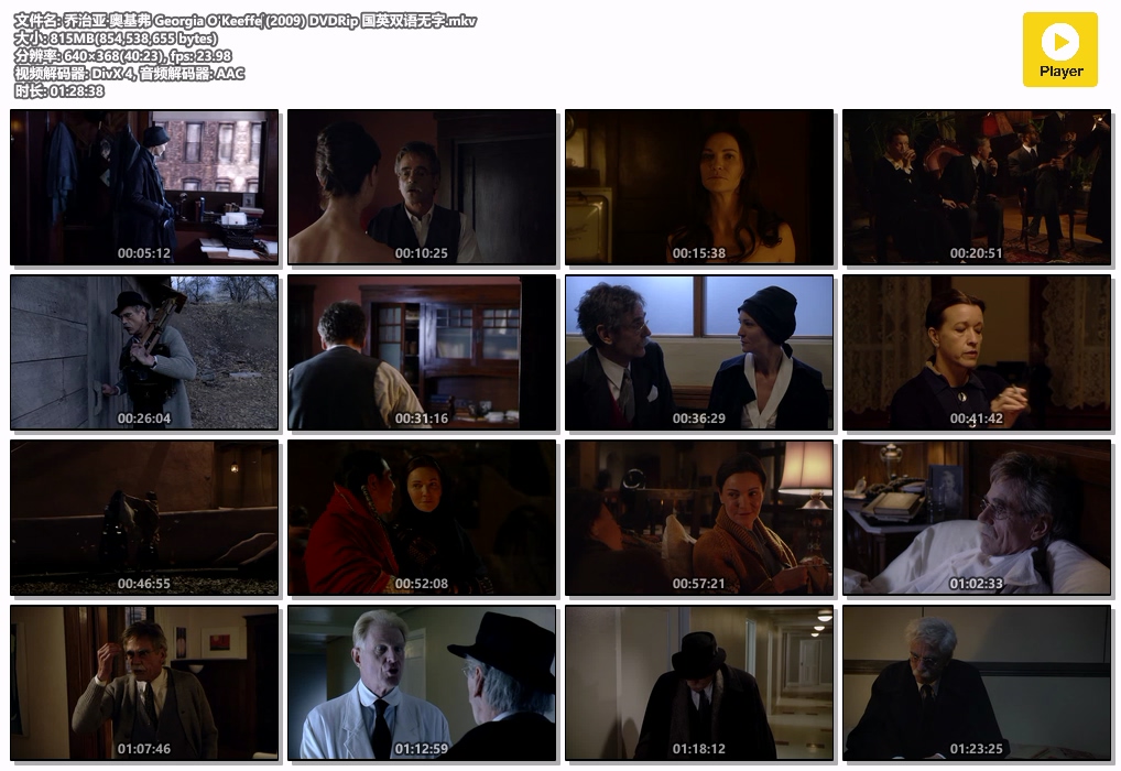 乔治亚·奥基弗 Georgia O'Keeffe‎ (2009) DVDRip 国英双语无字.mkv.jpg