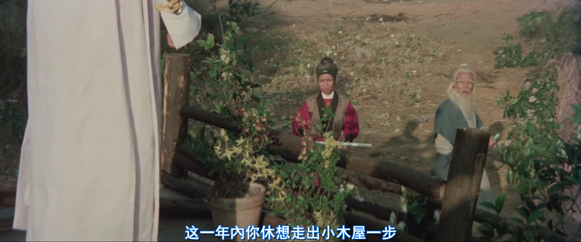 大地飞鹰.Big.Land.Flying.Eagles.1978.CHINESE.1080p.WEBRip.x265-VXT.mkv_20250707_.jpg