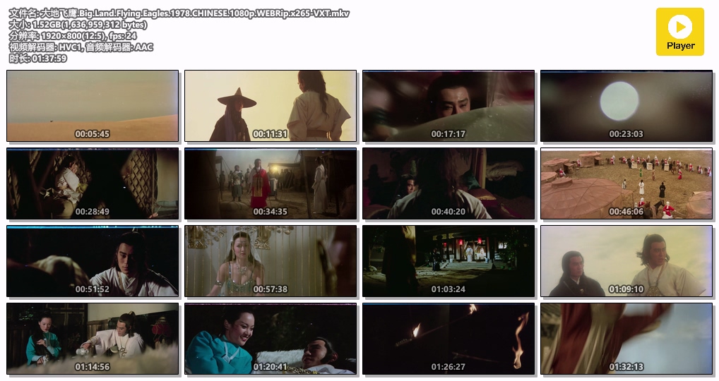 大地飞鹰.Big.Land.Flying.Eagles.1978.CHINESE.1080p.WEBRip.x265-VXT.mkv.jpg