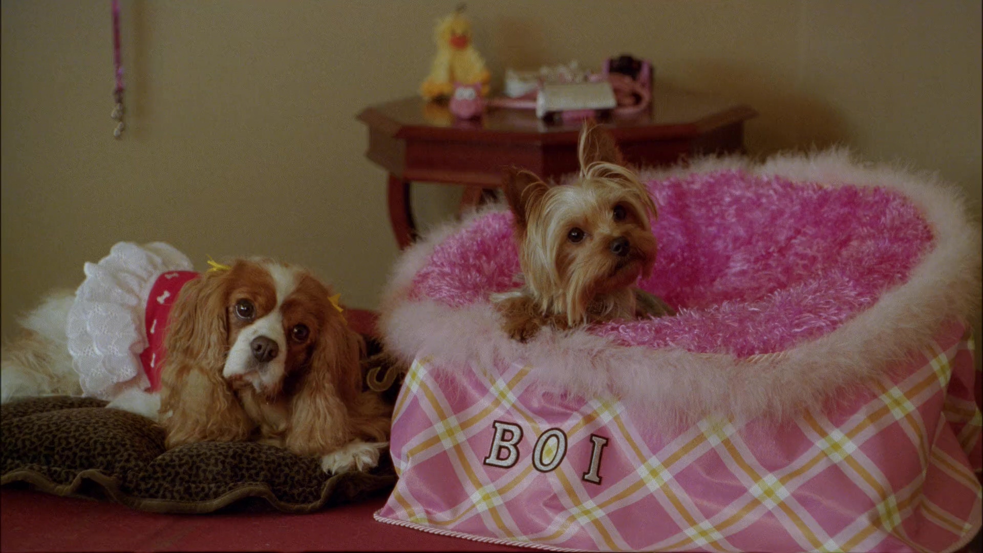 千金傲游记.Sharpay's Fabulous Adventure.2011.CN.mkv_20250709_132943.924.jpg