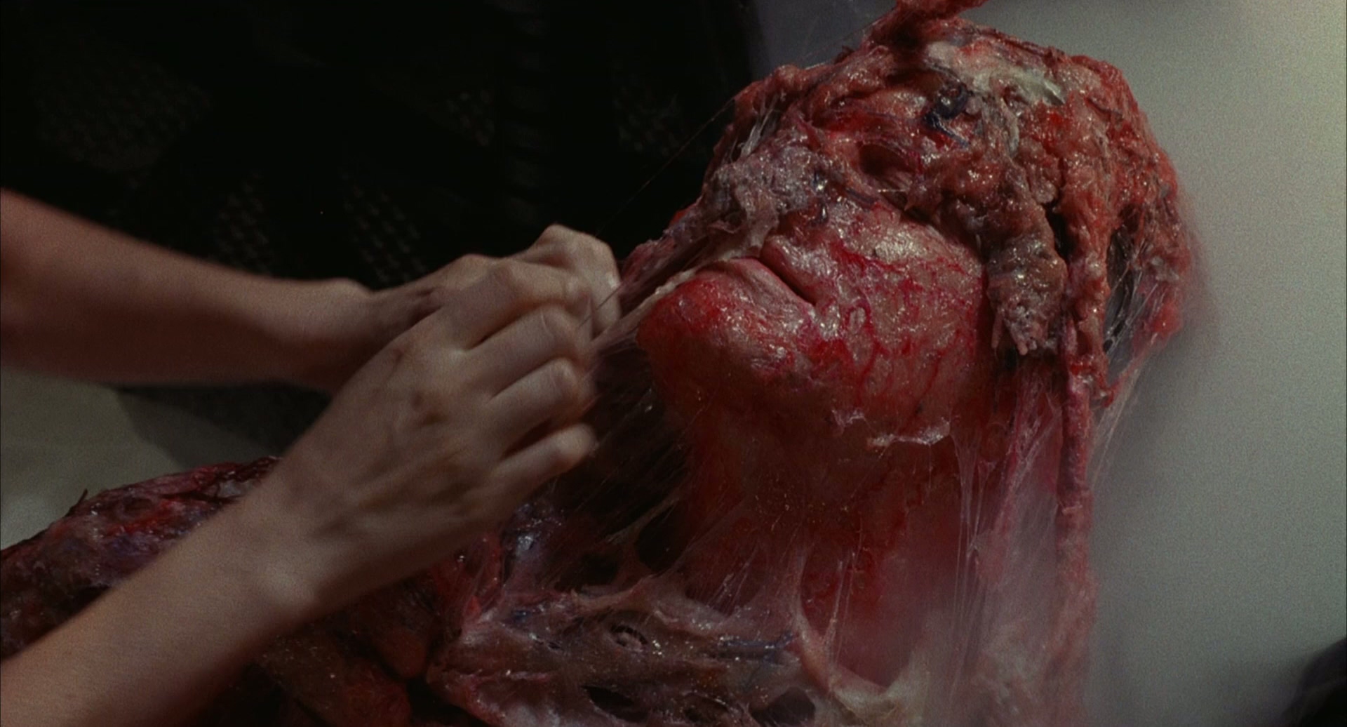 1989 变蝇人 2 The.Fly.II.mkv_20250710_132121.783.jpg