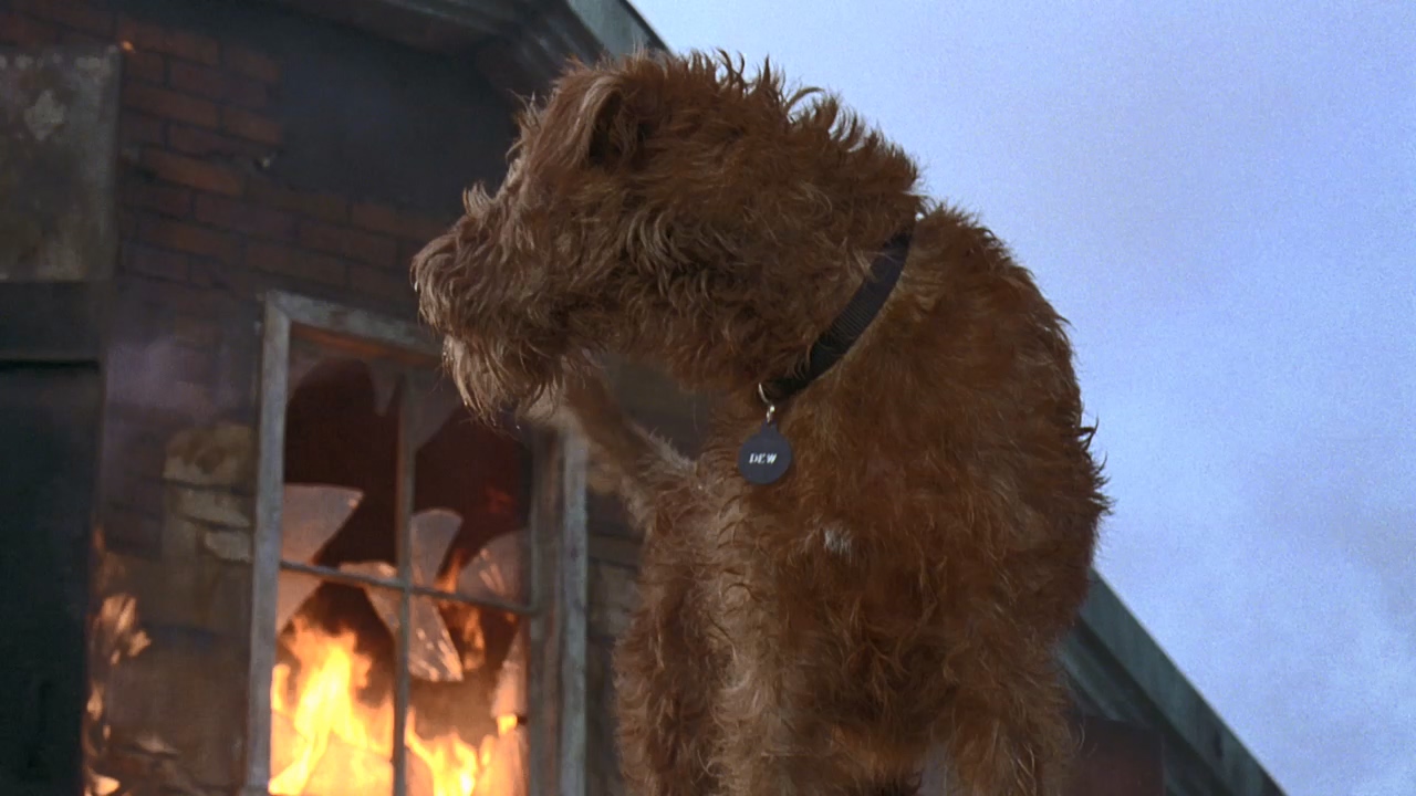 X 消防犬-2007.mkv_20250711_081330.528.jpg