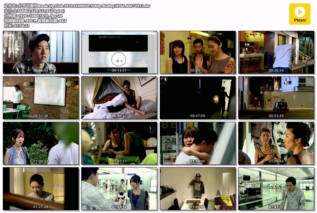 分手说爱你Break.Up.Club.2010.CHINESE.1080p.BluRay.H264.AAC-VXT.mkv.jpg