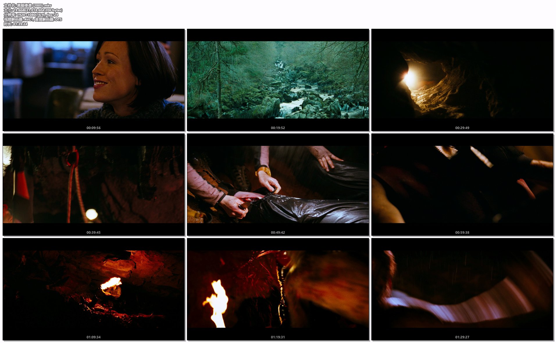 黑暗侵袭 (2005).mkv.png