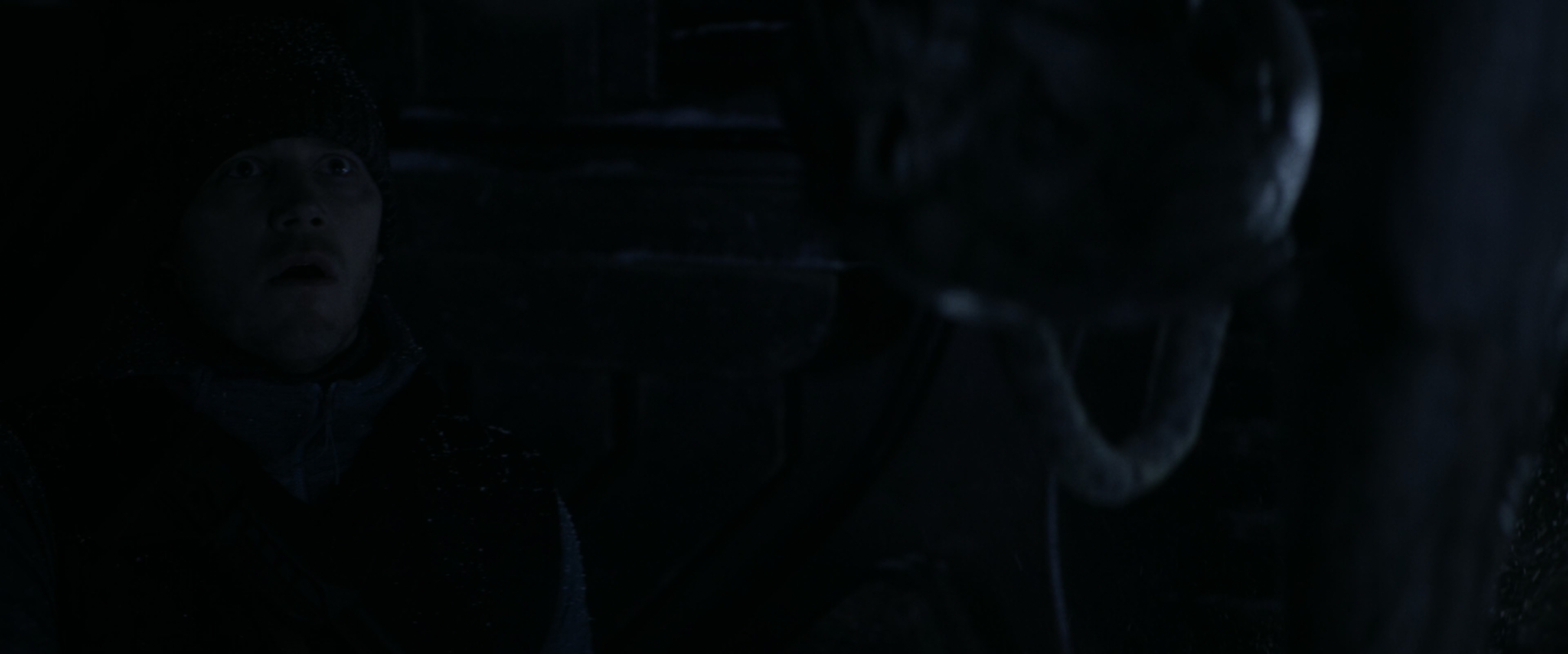 明日之战.The Tomorrow War.2021.UHD.WEB-DL.2160p.x265.10bit.国英双语双字.mkv_2025.jpg