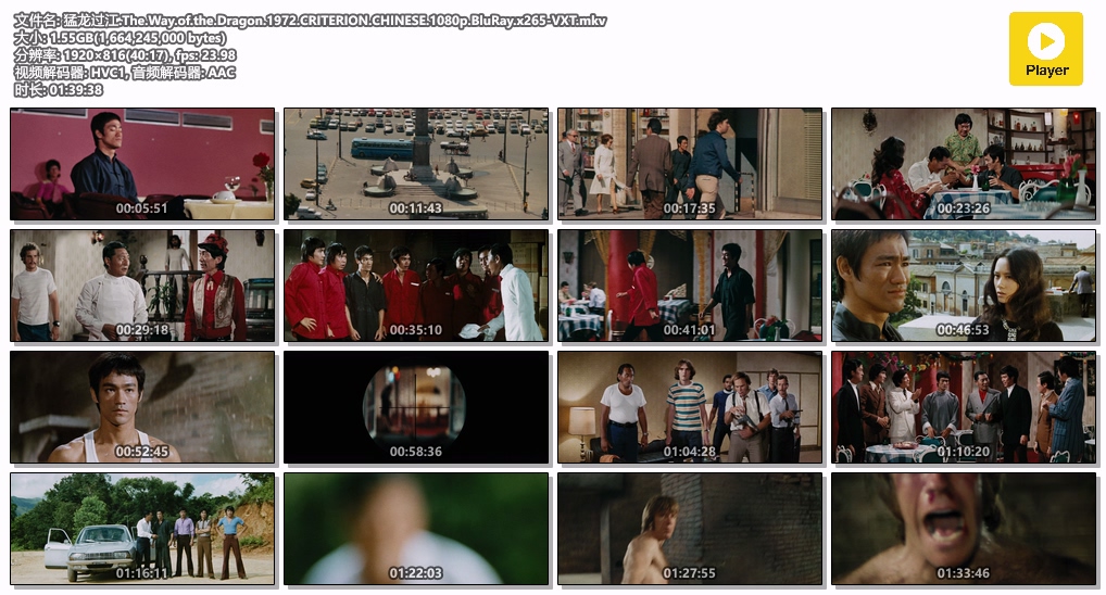 猛龙过江.The.Way.of.the.Dragon.1972.CRITERION.CHINESE.1080p.BluRay.x265-VXT.mkv.jpg