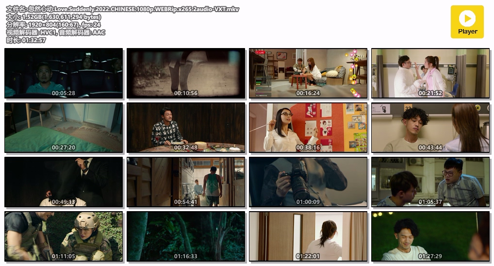 忽然心动.Love.Suddenly.2022.CHINESE.1080p.WEBRip.x265.2audio-VXT.mkv.jpg