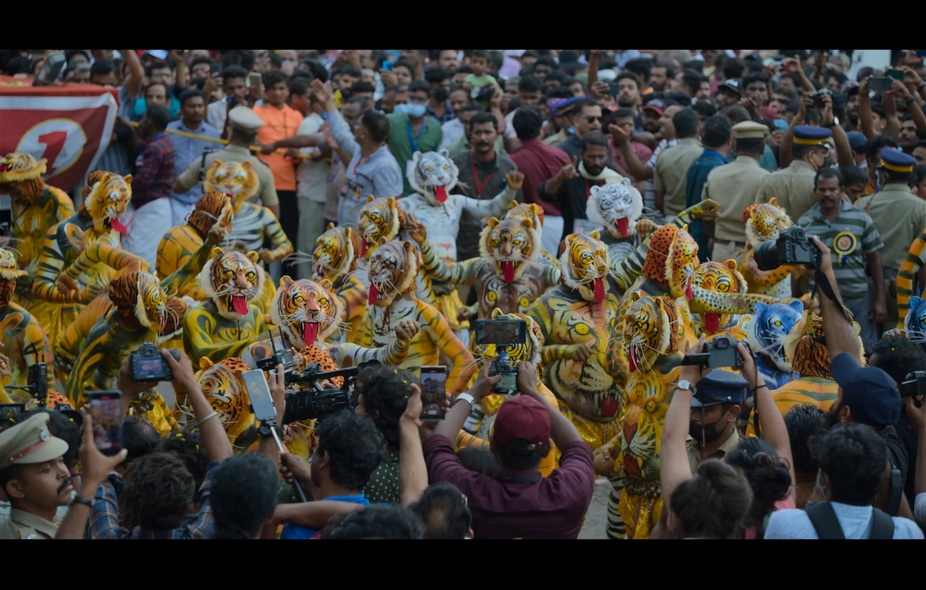 03-老虎崛起 (5).jpg