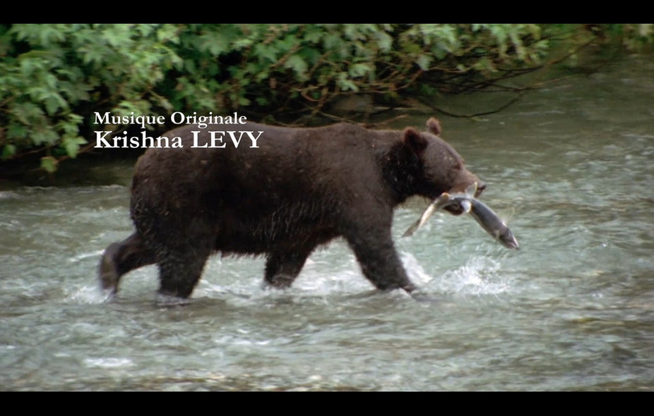 10-最后的猎人 (2).jpg