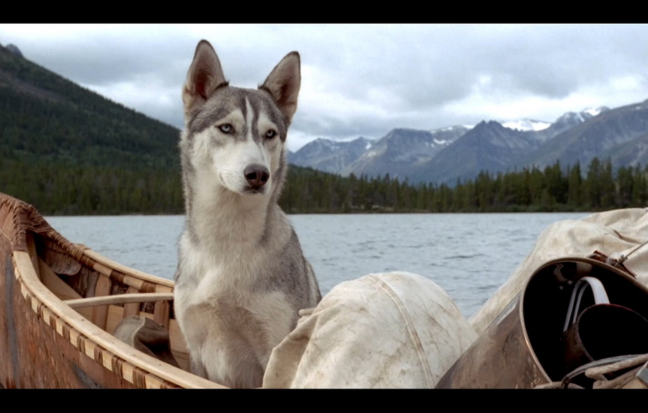 10-最后的猎人 (4).jpg