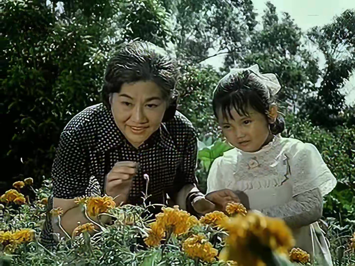 1982 泉水叮咚.mp4_20250802_021348.887.jpg