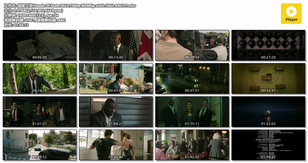 国家元首.Heads.Of.State.2025.1080p.WEBRip.x265.10bit.AAC5.1.mkv.jpg