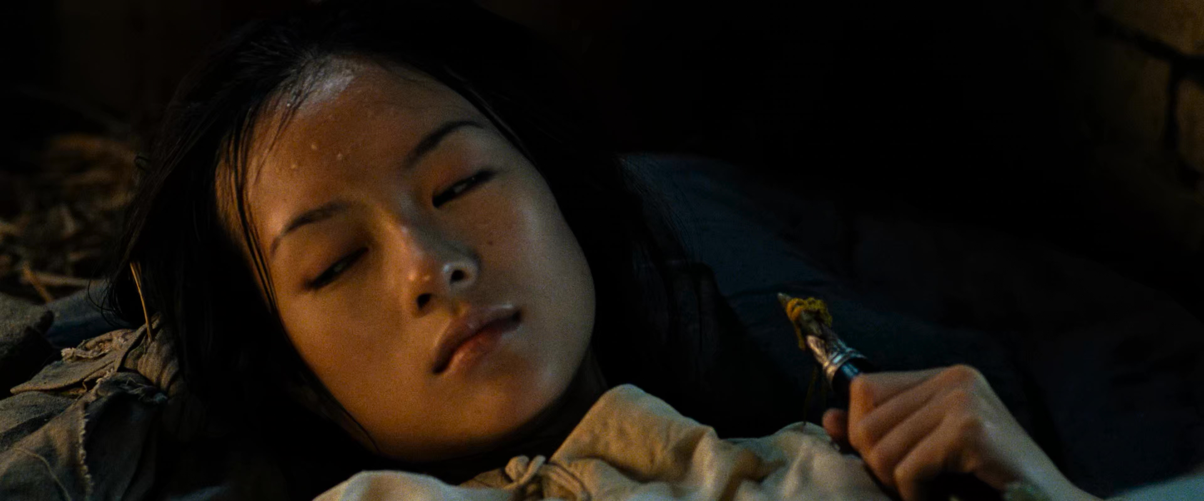 2000 卧虎藏龙 Crouching.Tiger.Hidden.Dragon.mkv_20250808_162706.393.jpg