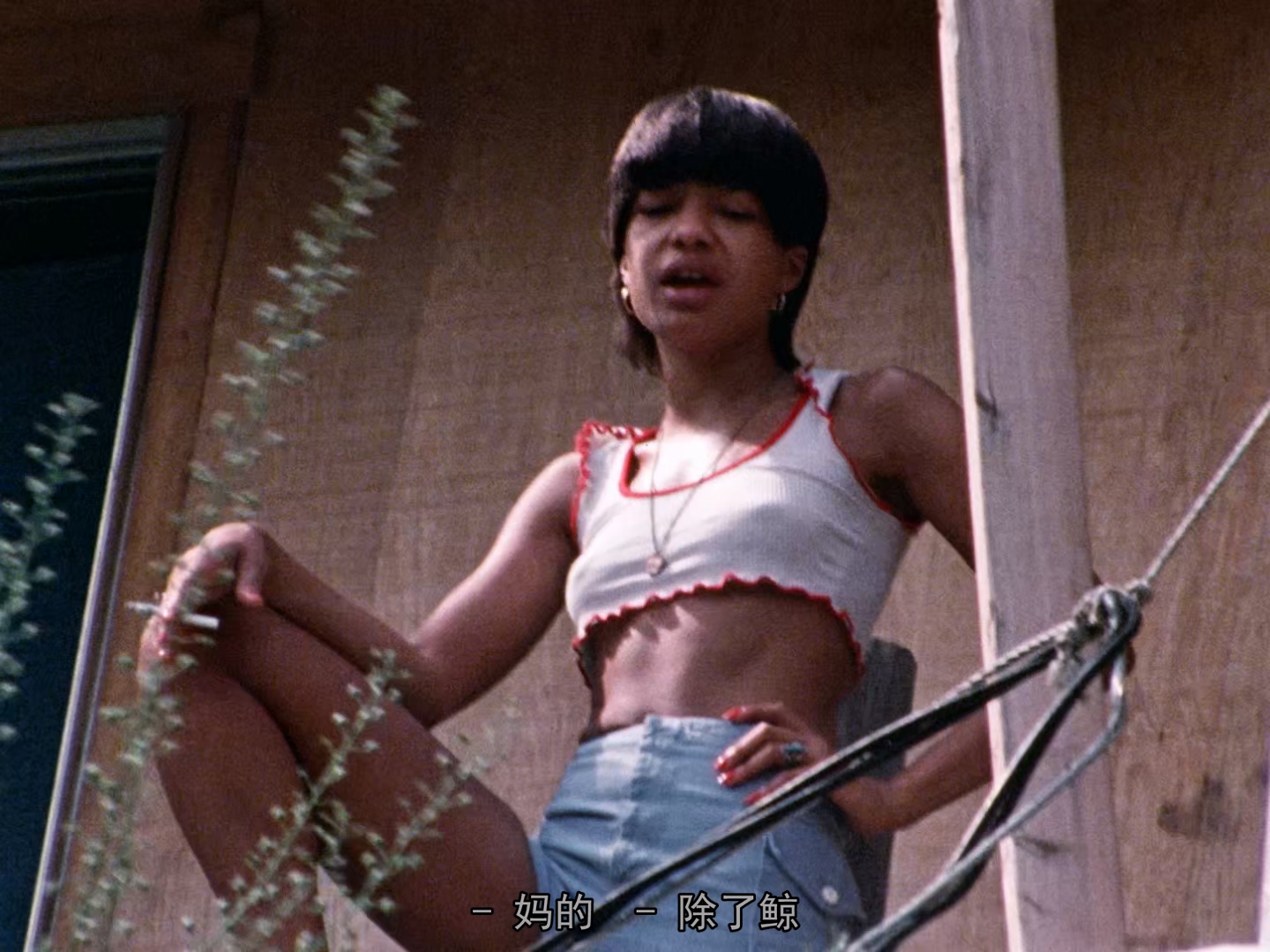 1974 一首诗就是一个裸体的人 A Poem Is a Naked Person.mkv_20250811_145316.259.jpg