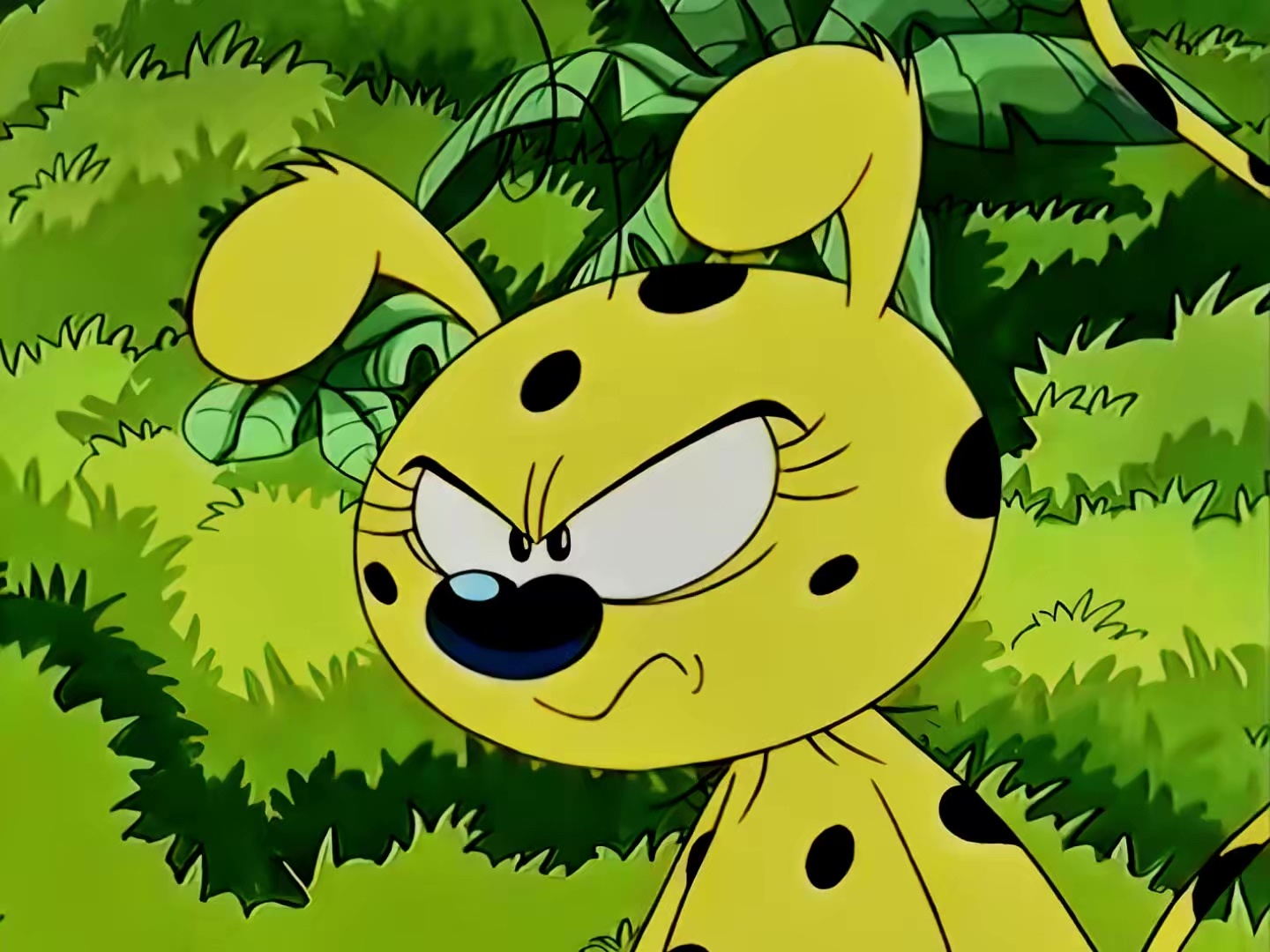 09 开心游乐园.mp4_20250811_174356.890.jpg