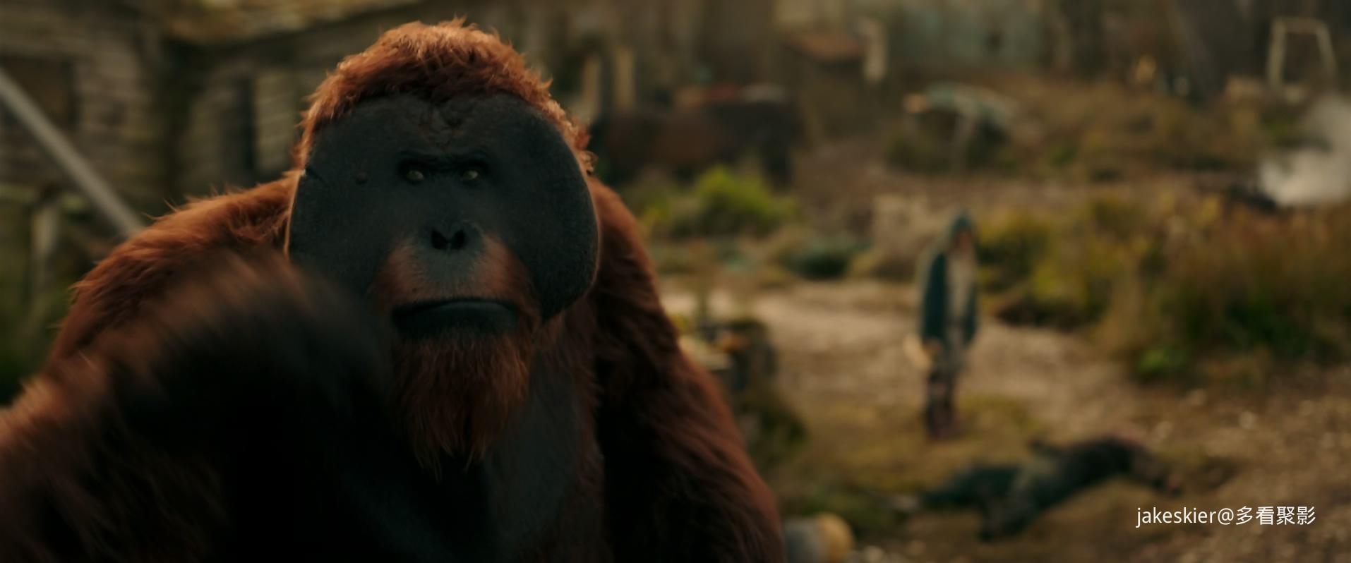 2017.猩球崛起3：终极之战(140分钟).1080P.上译英特效对应中字.mkv_20250811_235120.280.jpg