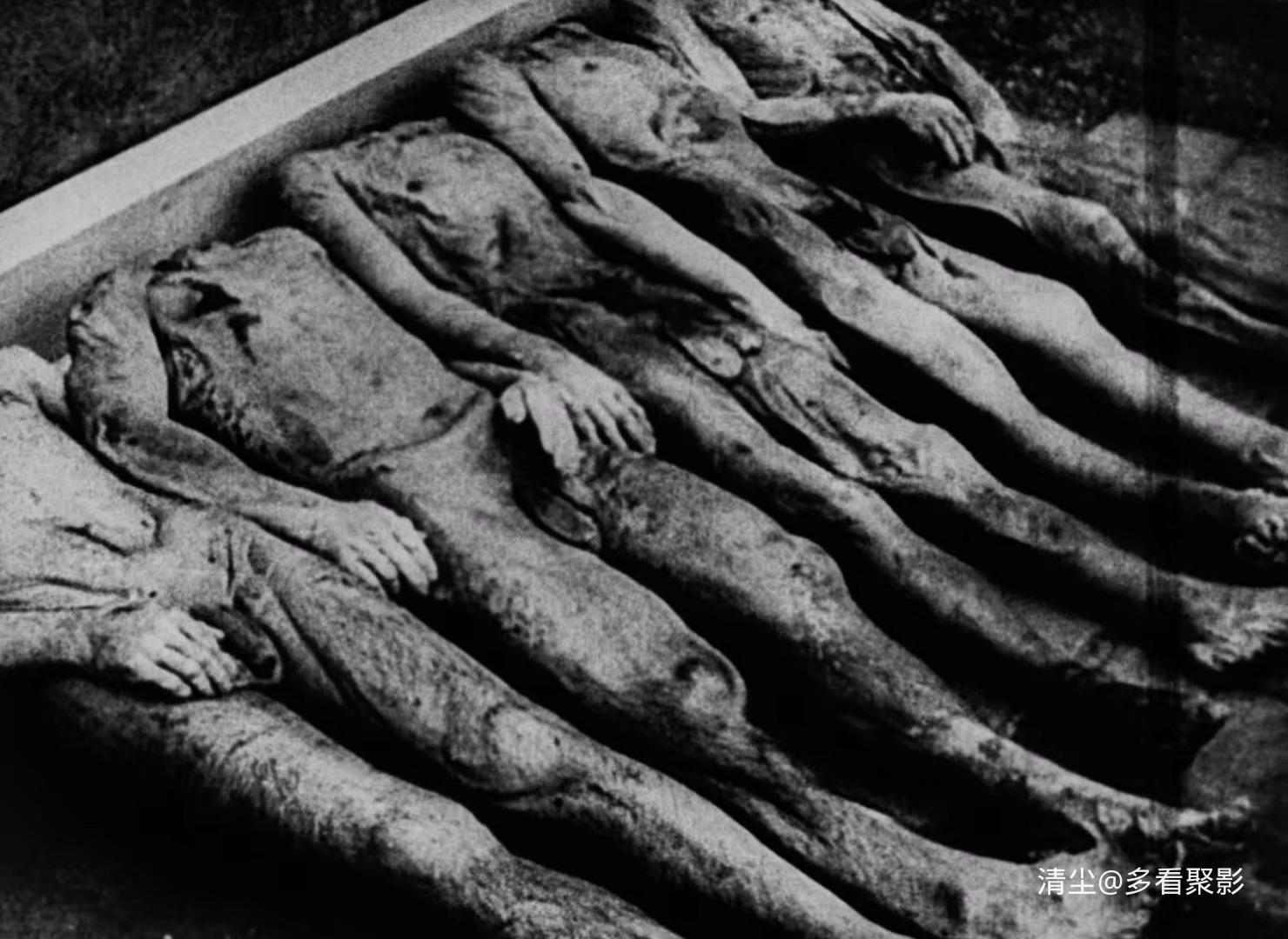 1955 夜与雾 Night and Fog .mkv_20250815_120646.241.jpg