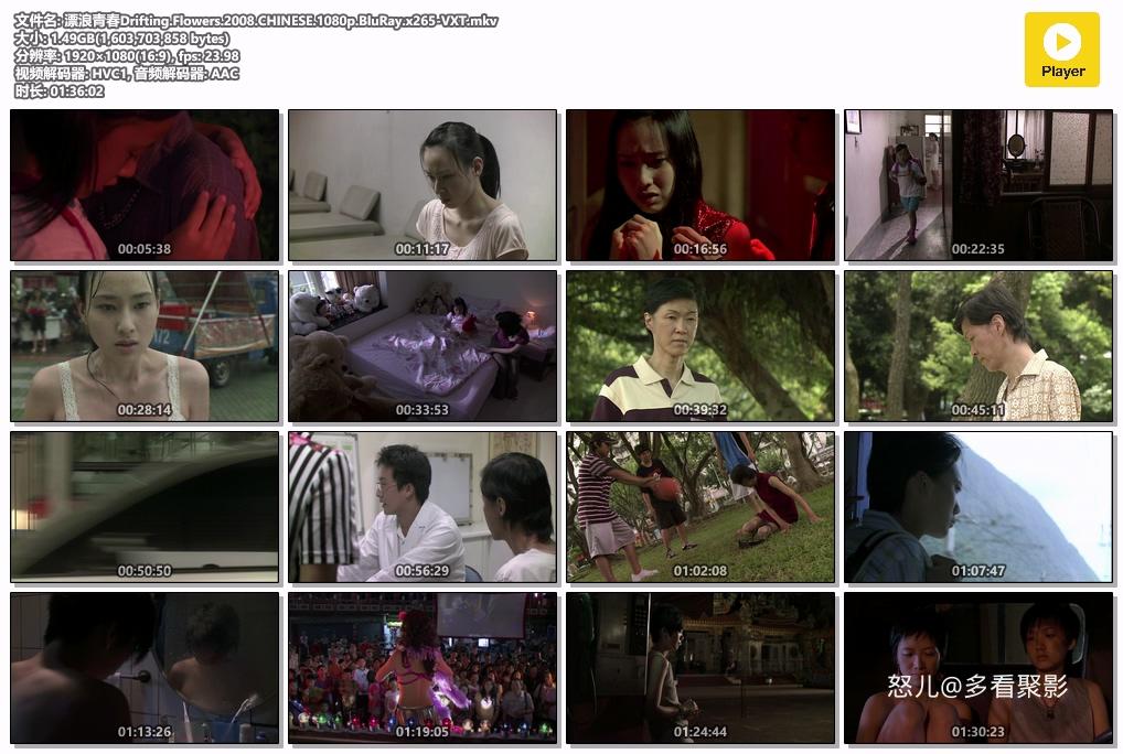 漂浪青春Drifting.Flowers.2008.CHINESE.1080p.BluRay.x265-VXT.mkv.jpg