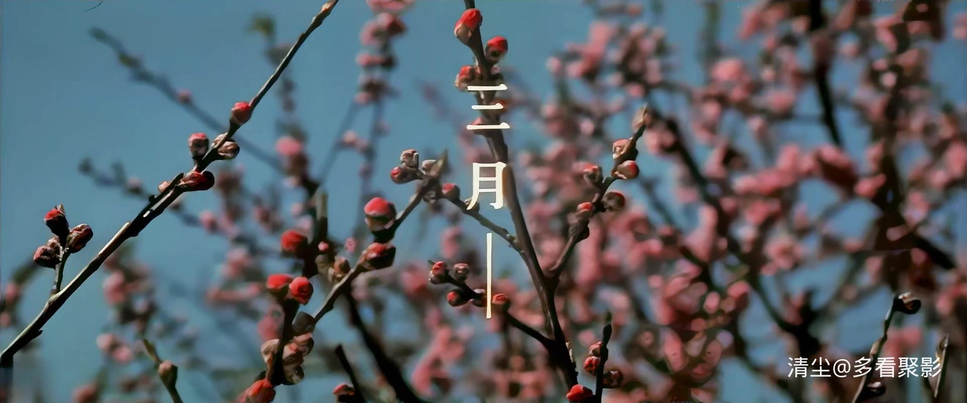 1976 白衣少女（遺書 白い少女） .mp4_20250906_094722.321.jpg