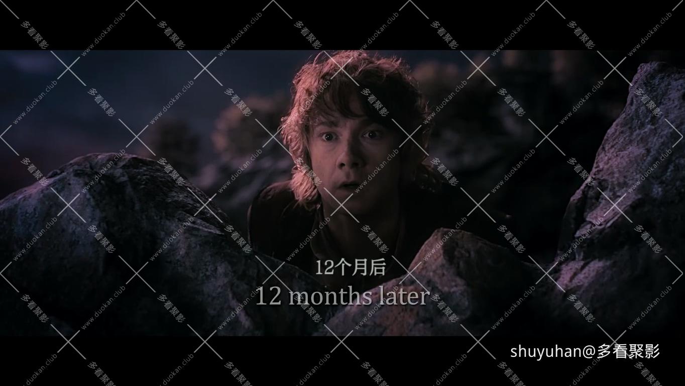 The Hobbit The Desolation of Smaug Extended Edition 2013 1080p BluRay x265 HEVC .jpg