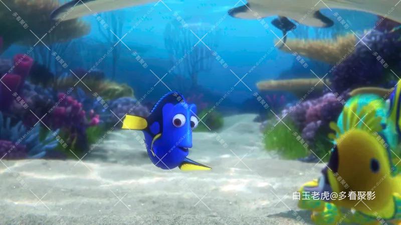 海底总动员2：多莉去哪儿[国粤英多音轨 简繁英字幕].Finding.Dory.2016.UHD.BluRay.21.webp