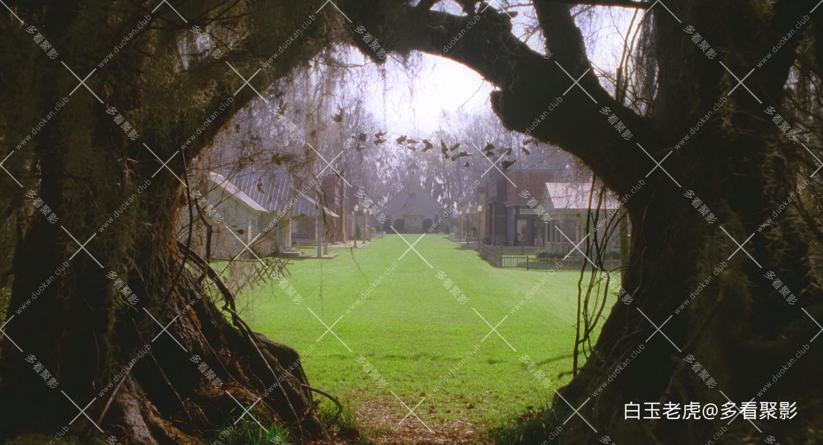 Big.Fish.2003.BluRay.1080p.DTS-HD.MA.5.1.x265.10bit.2Audio-DreamHD-bylh .mkv_202.jpg