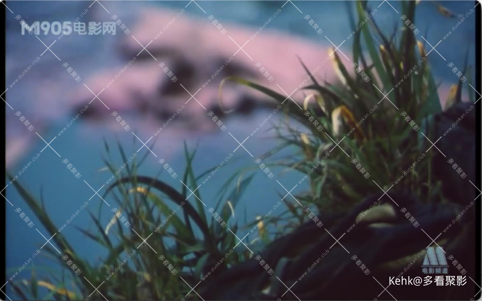 截屏2025-10-03 22.48.46.jpeg