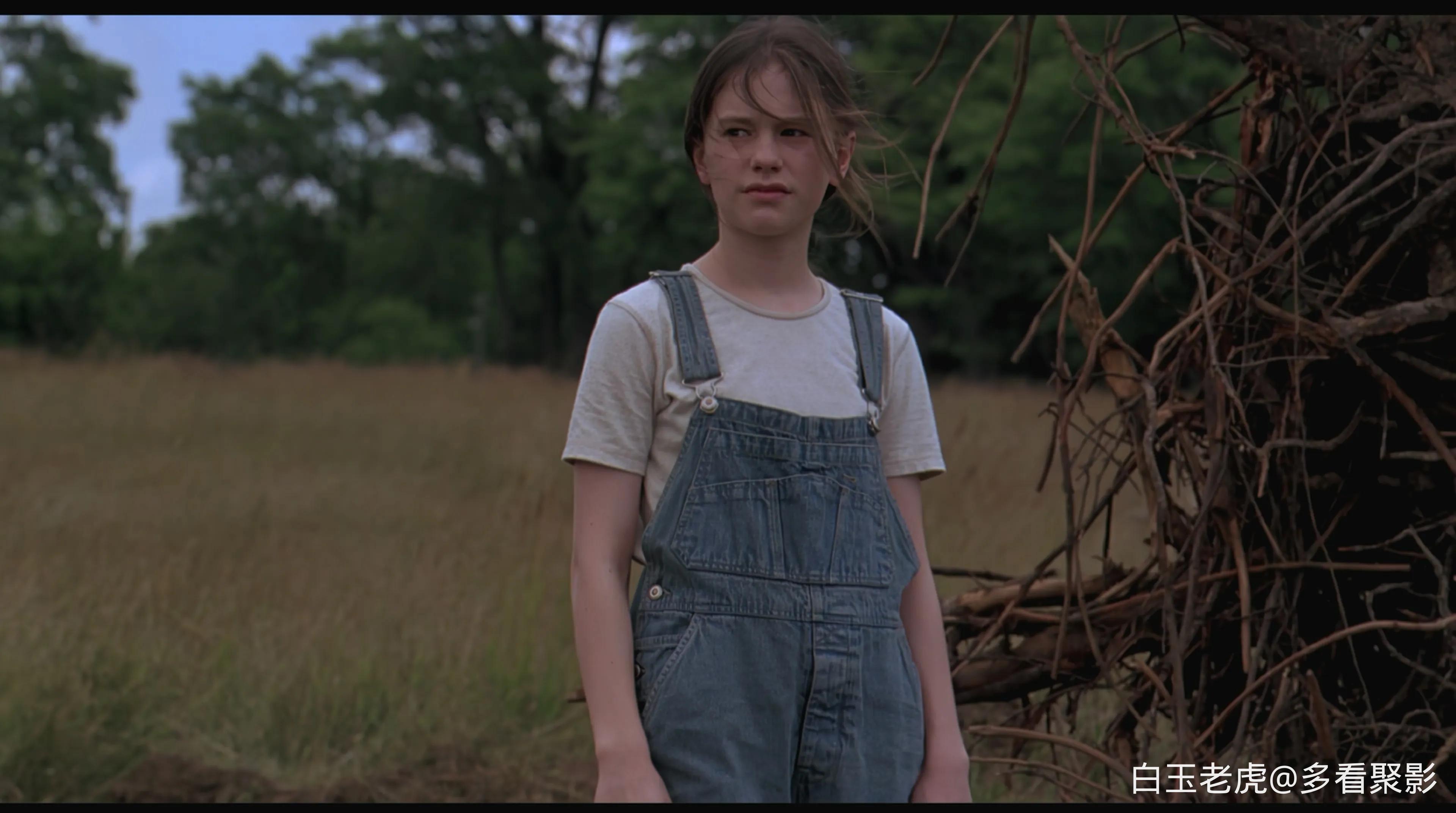 Fly Away Home (1996).mkv_20251004_090017.794.webp