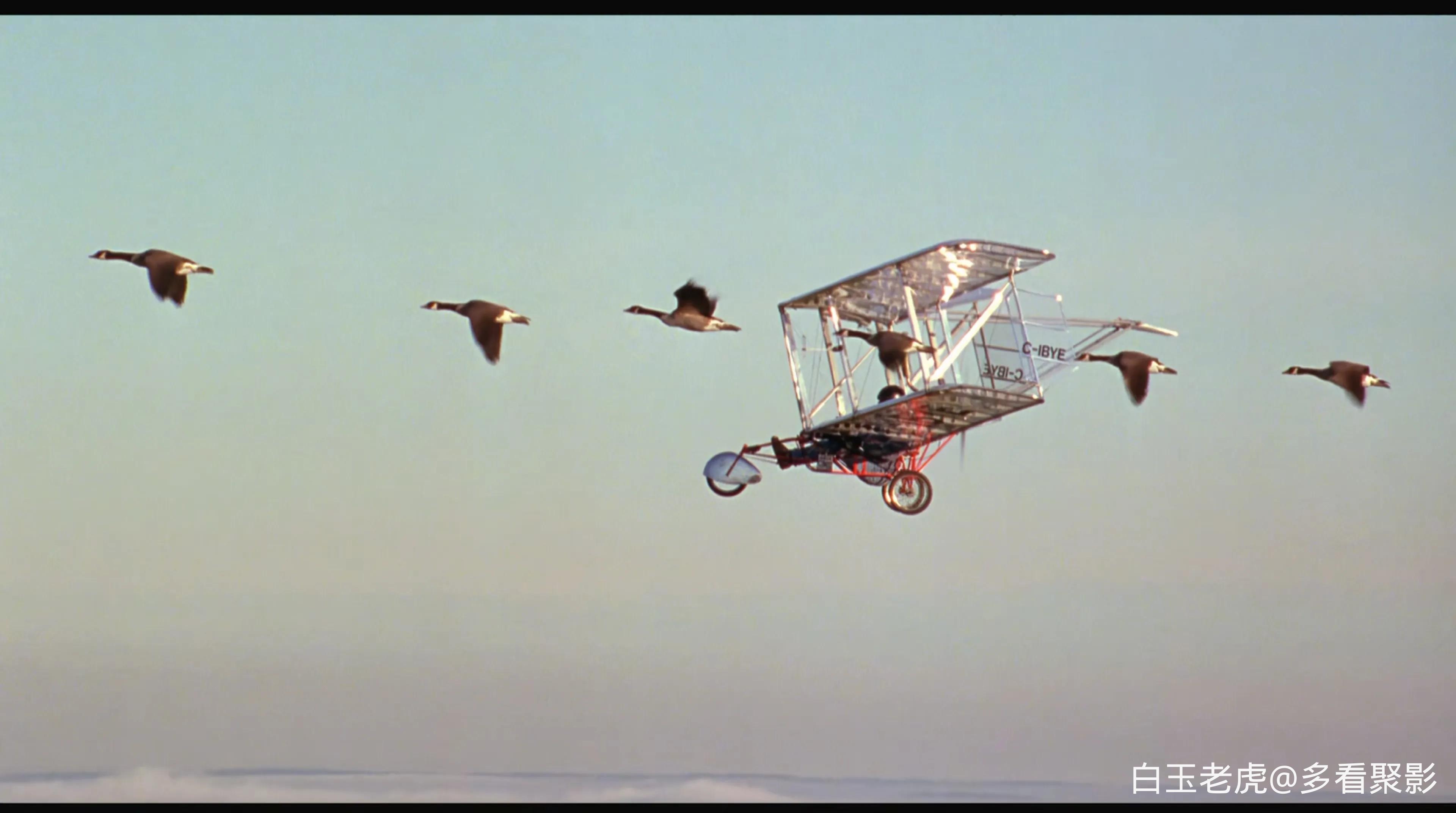 Fly Away Home (1996).mkv_20251004_090620.385.webp