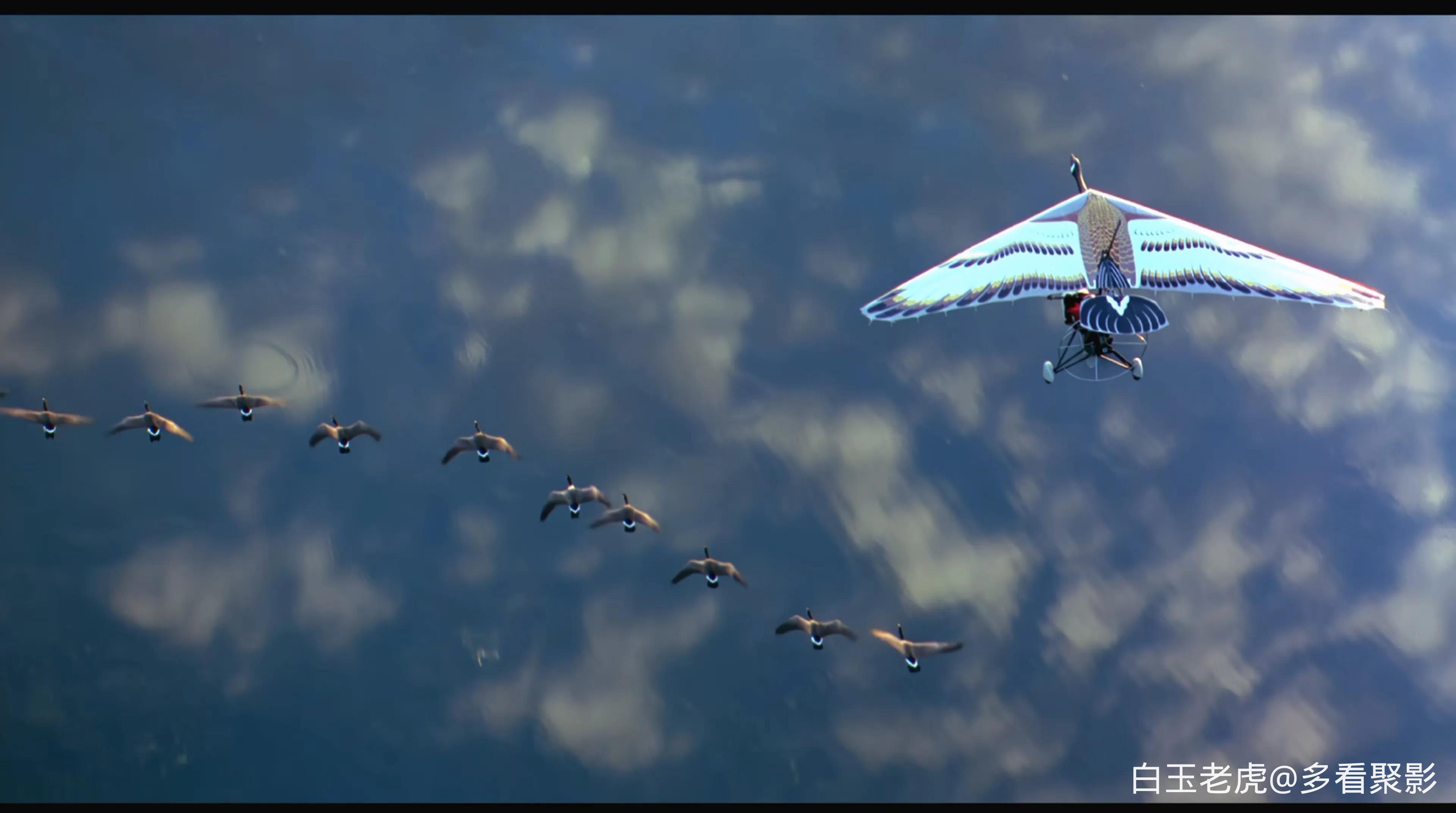 Fly Away Home (1996).mkv_20251004_090751.329.webp