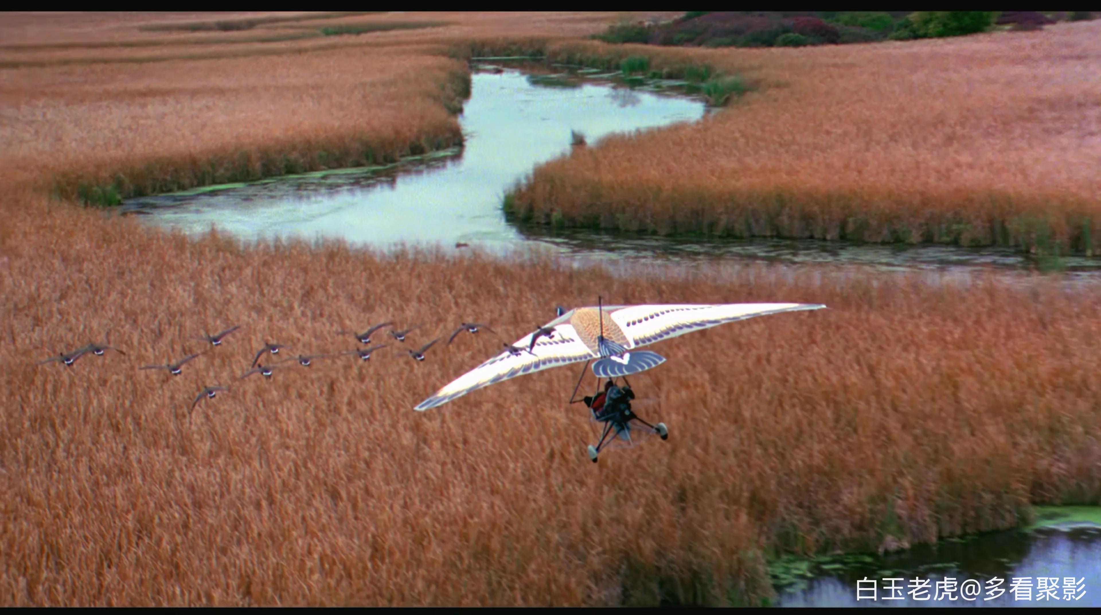 Fly Away Home (1996).mkv_20251004_090836.280.webp