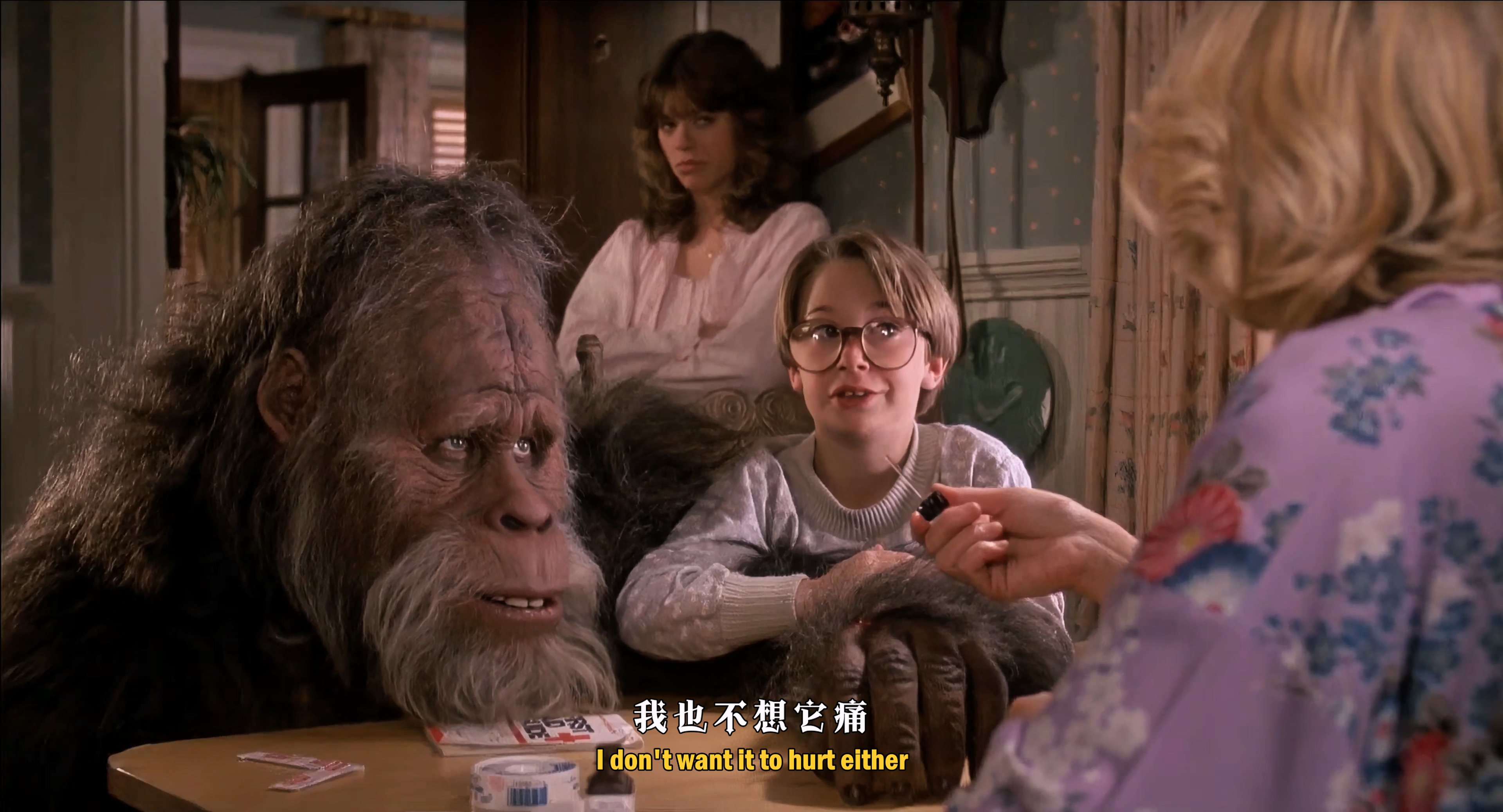 1987 大脚哈利 Harry and the Hendersons.mkv_20251004_110509.004.jpg