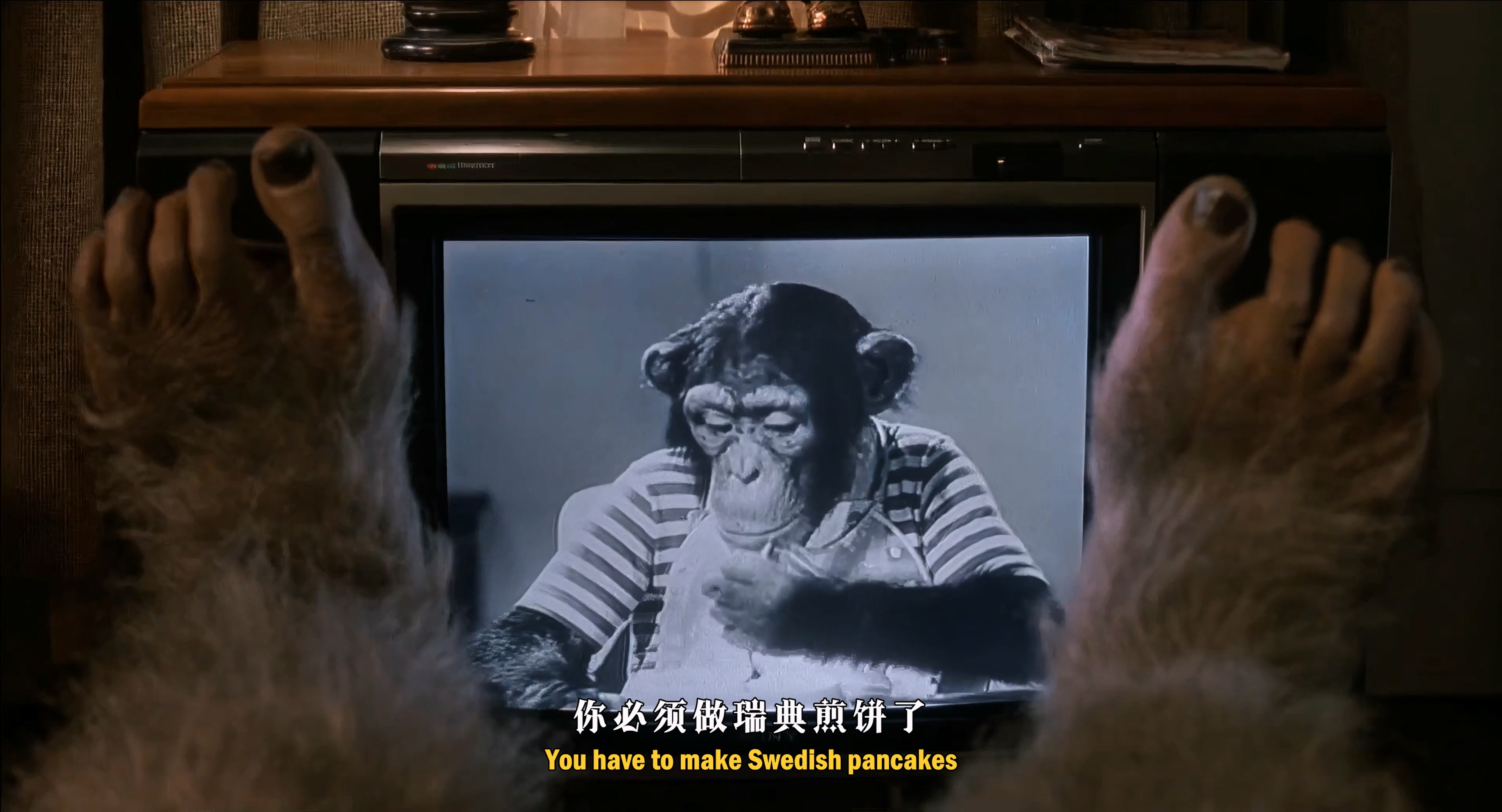 1987 大脚哈利 Harry and the Hendersons.mkv_20251004_110627.718.jpg