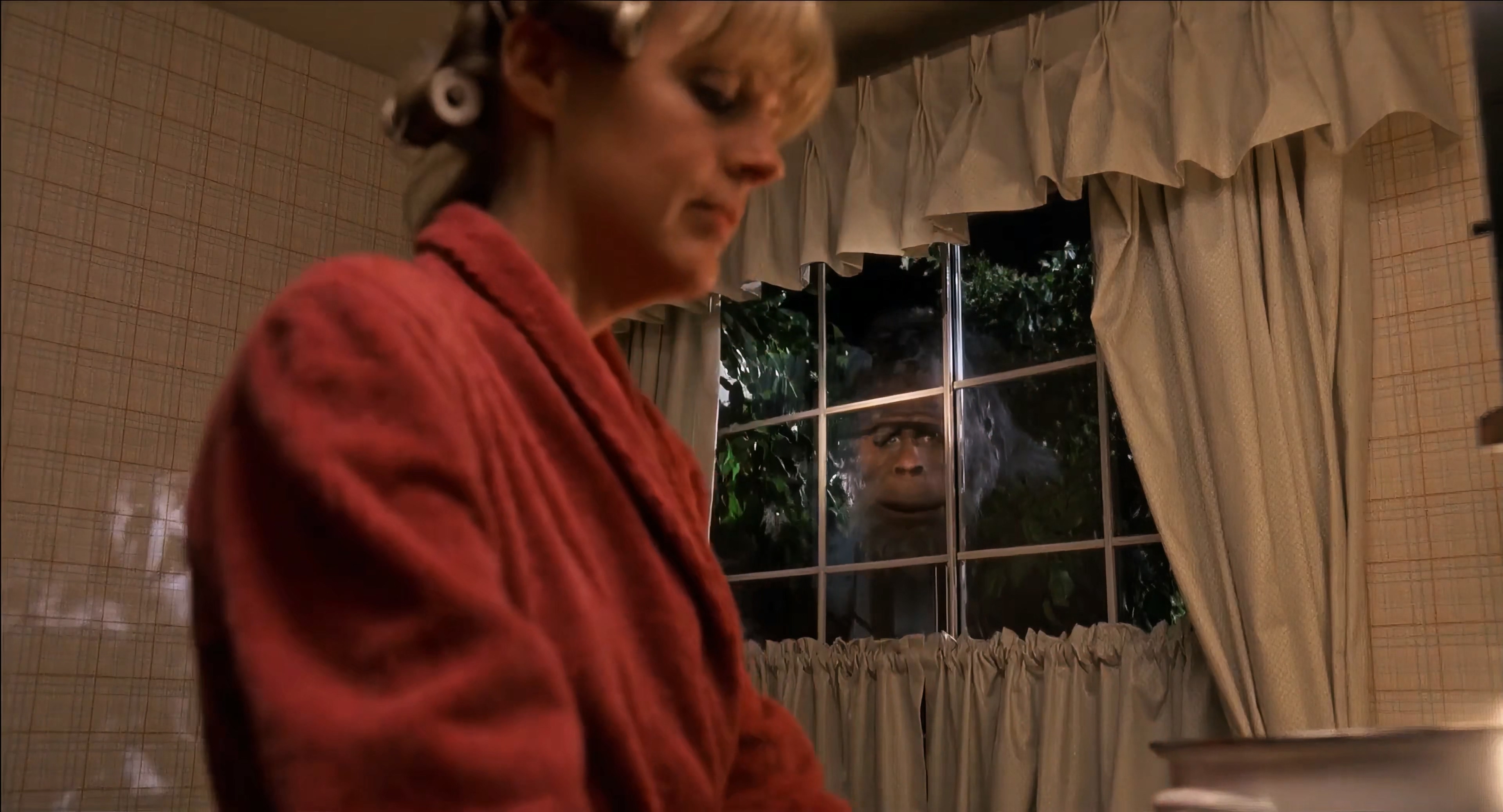 1987 大脚哈利 Harry and the Hendersons.mkv_20251004_111057.318.jpg