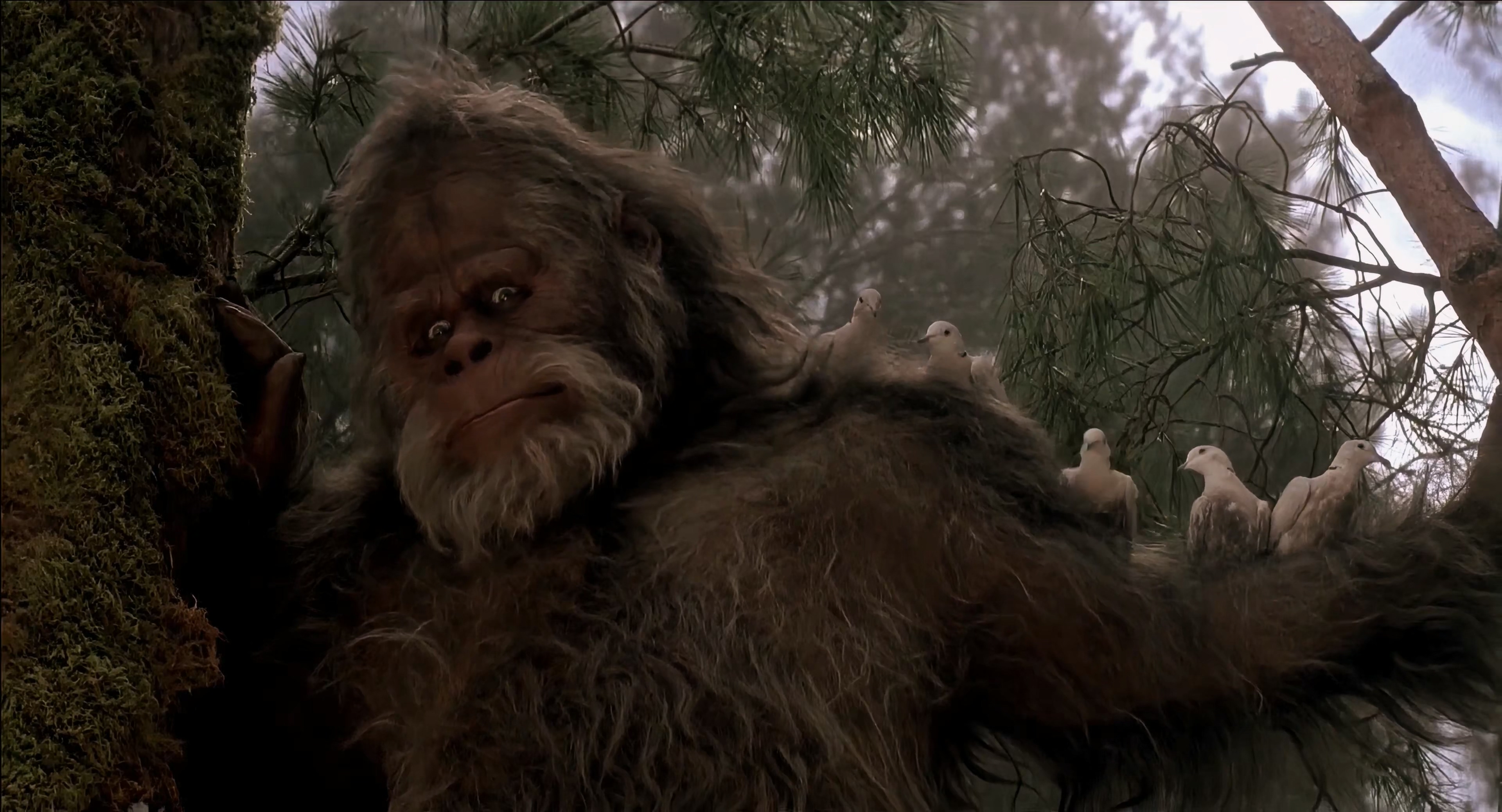 1987 大脚哈利 Harry and the Hendersons.mkv_20251004_112313.525.jpg