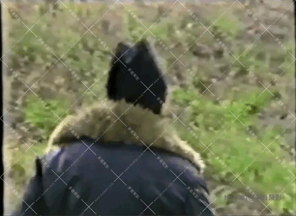 QQ截图20251005083954 (1).png