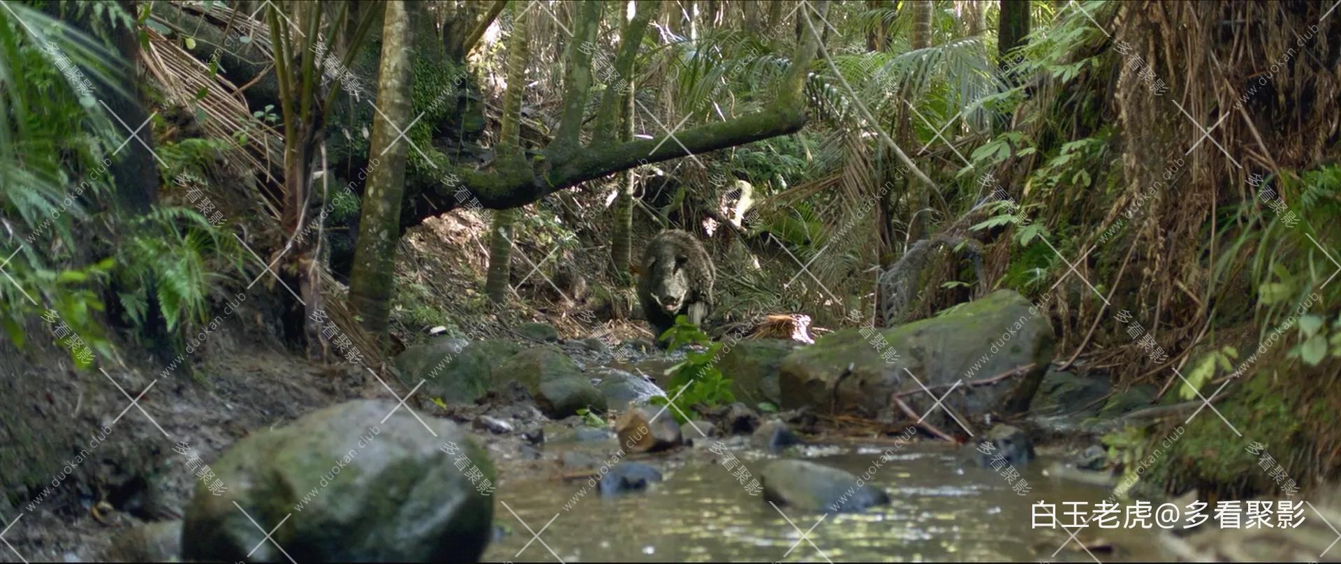 Hunt.for.the.Wilderpeople.2016.1080p.BluRay.x264.DTS-HD.MA.5.1-FGT -bylh.mkv_202.webp