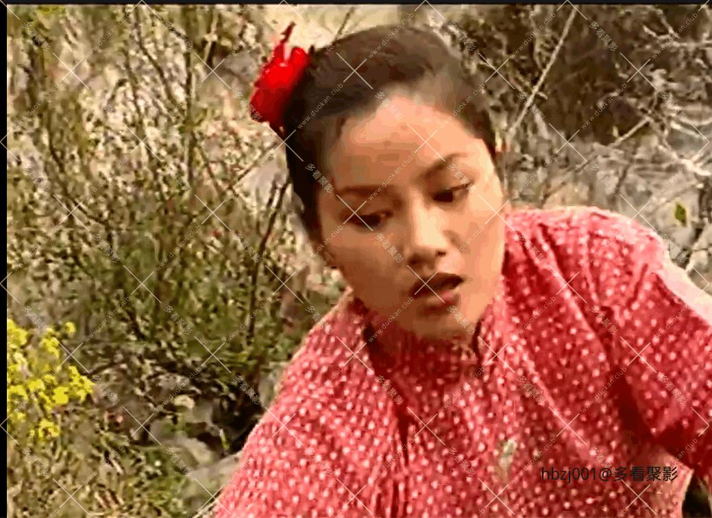 QQ截图20251006083426 (1).png