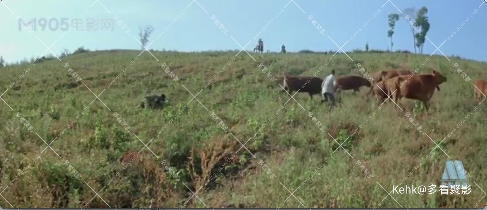 截屏2025-10-07 12.34.08.jpeg