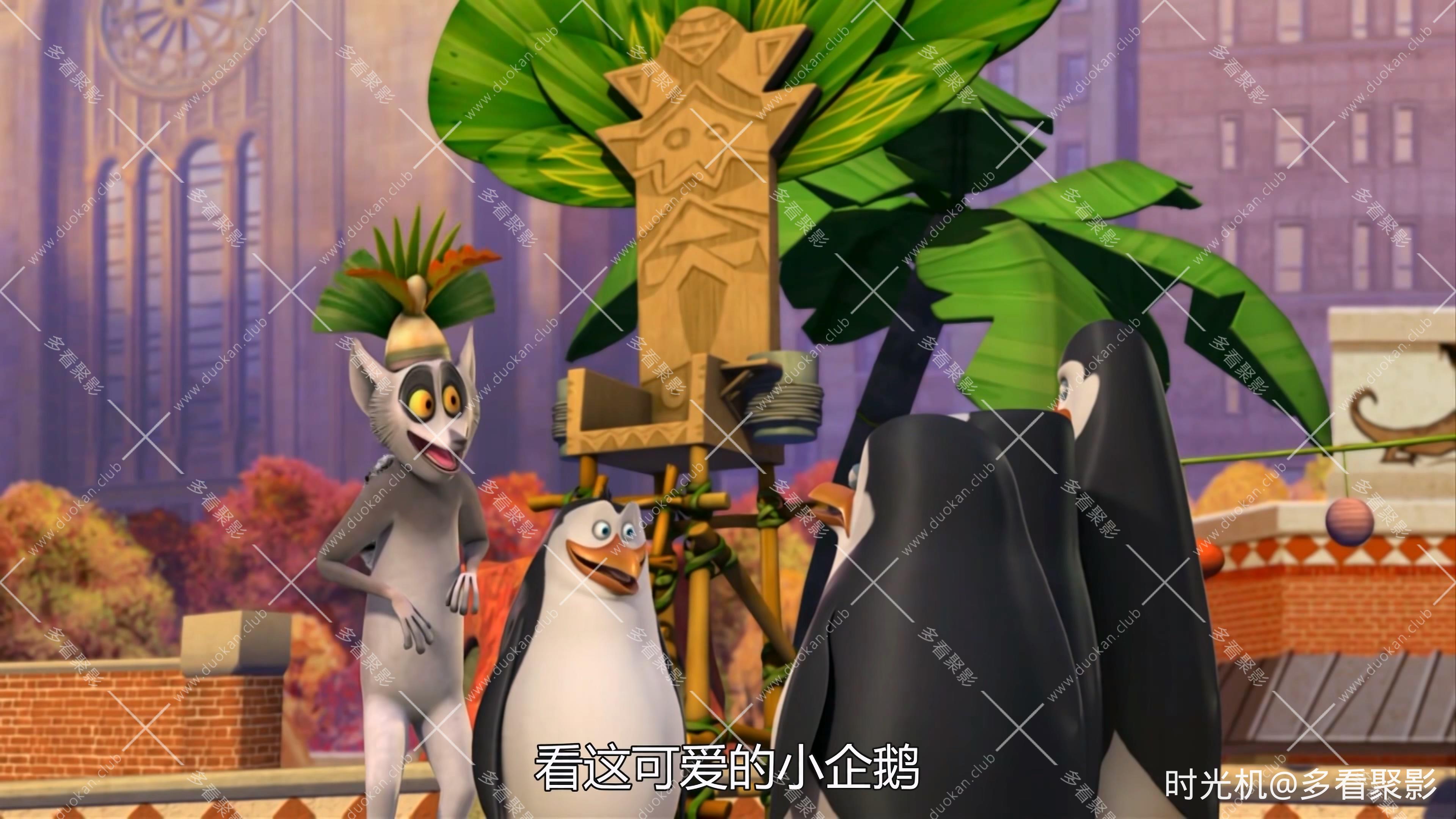 【4K】马达加斯加企鹅第二季_02.mp4_20251012_113729.681.jpg