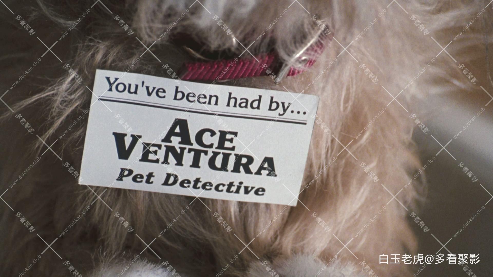 Ace.Ventura.Pet.Detective.1994..BluRay.1080p.x265.10bit.DTS.3Audio-bylh.mkv_2025.jpg